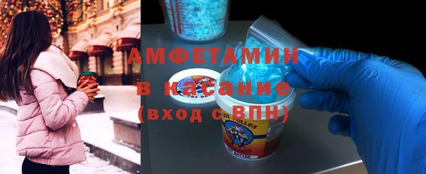 твердый Арсеньев