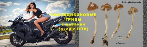 каннабис Армянск