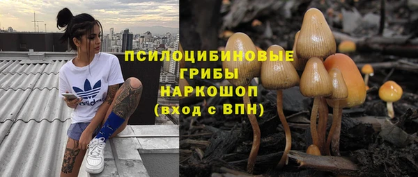 твердый Арсеньев
