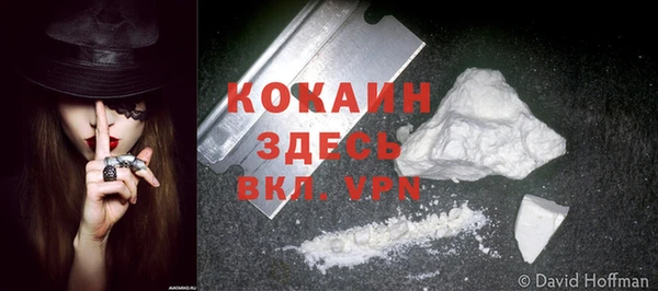твердый Арсеньев