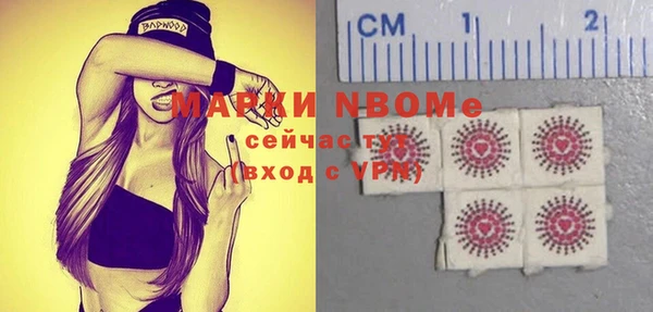 твердый Арсеньев